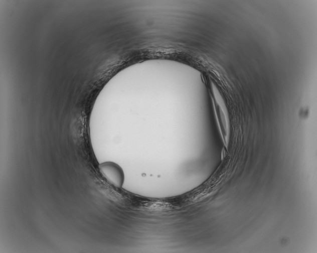 X0000096190463200802151507