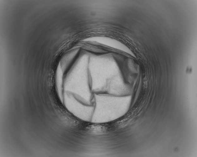 X0000096190464200802151507