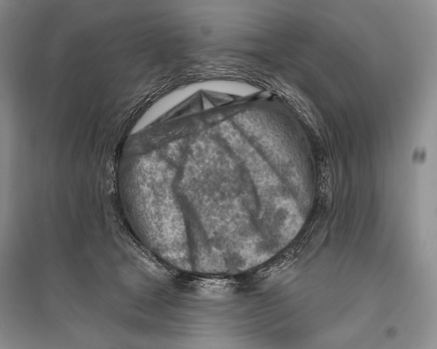 X0000096190465200802151507