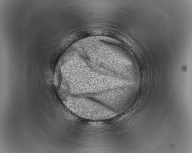 X0000096190469200802151507