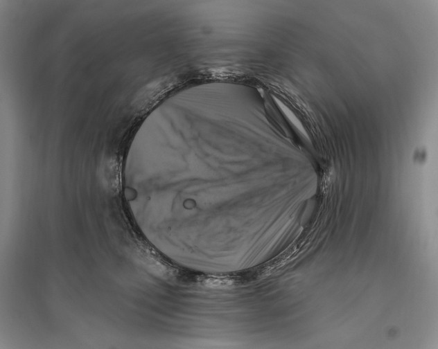 X0000096190471200802151507