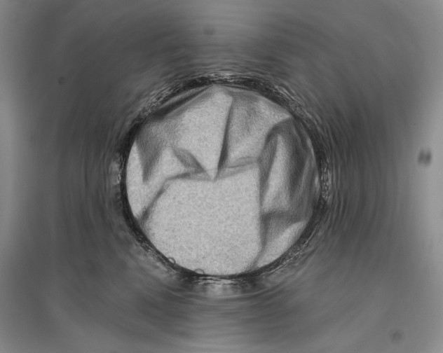 X0000096190472200802151507