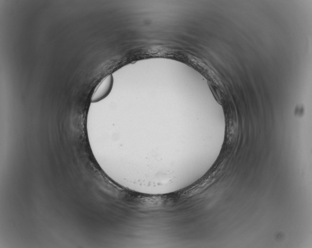 X0000096190473200802151507