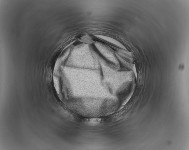 X0000096190474200802151507