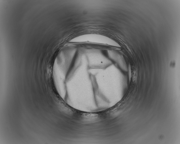 X0000096190476200802151507