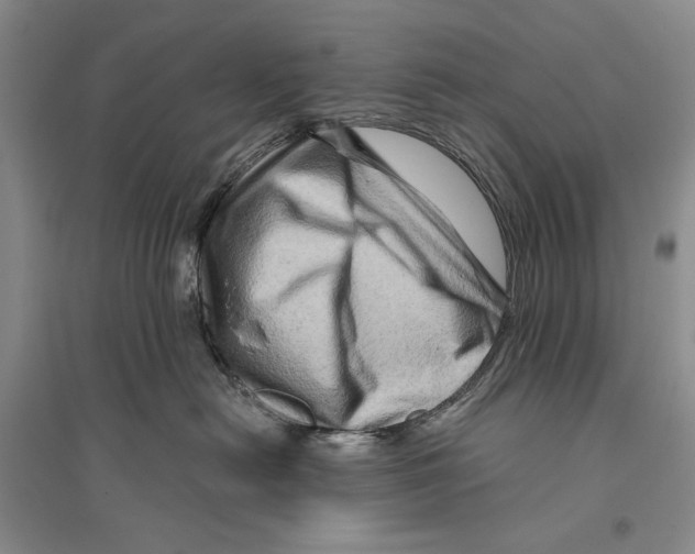 X0000096190478200802151507