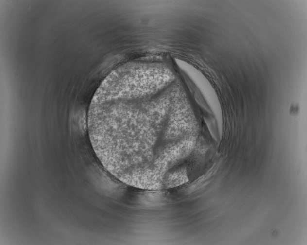 X0000096190479200802151507