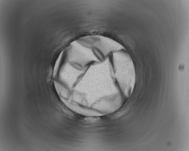 X0000096190480200802151507