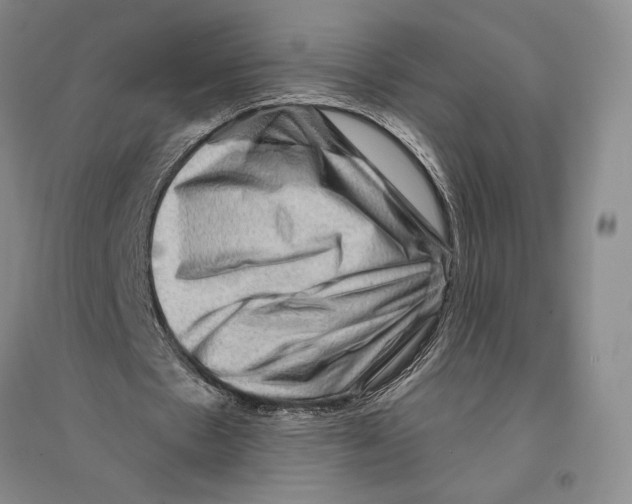 X0000096190481200802151506