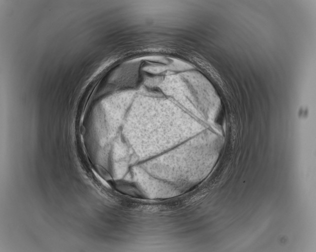 X0000096190482200802151506