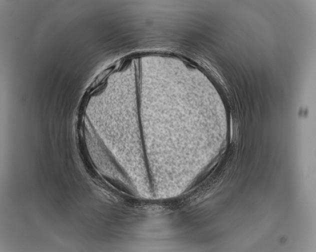 X0000096190483200802151506