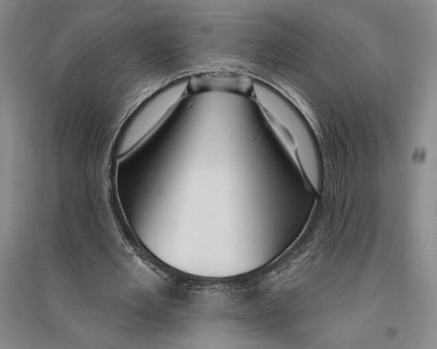 X0000096190485200802151506