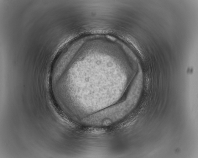 X0000096190491200802151506