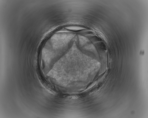 X0000096190492200802151506