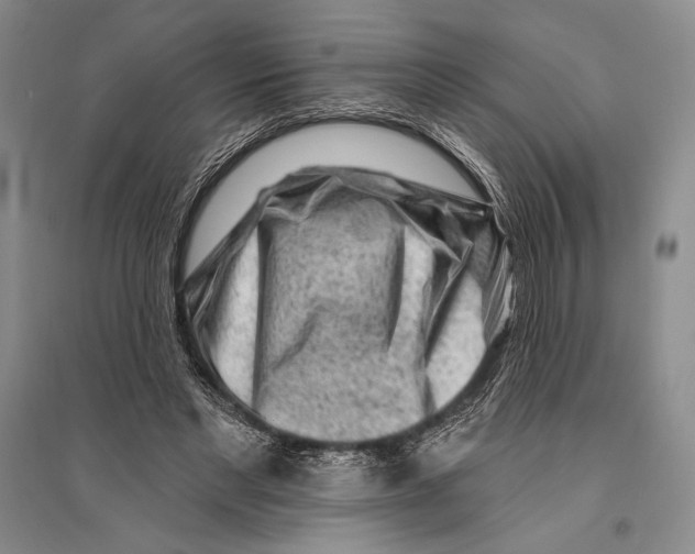 X0000096190493200802151506