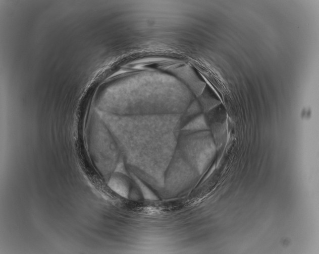 X0000096190496200802151506