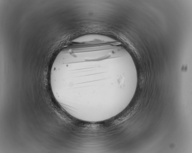 X0000096190497200802151506