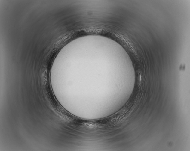 X0000096190498200802151506