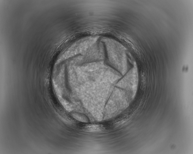 X0000096190499200802151506