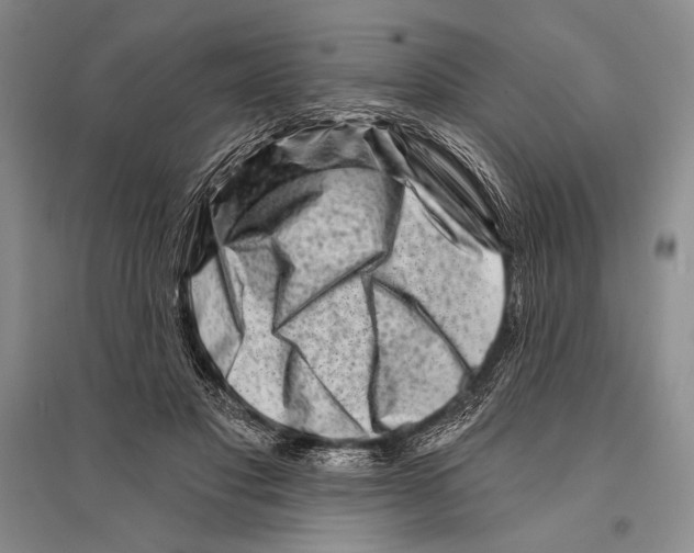 X0000096190501200802151506