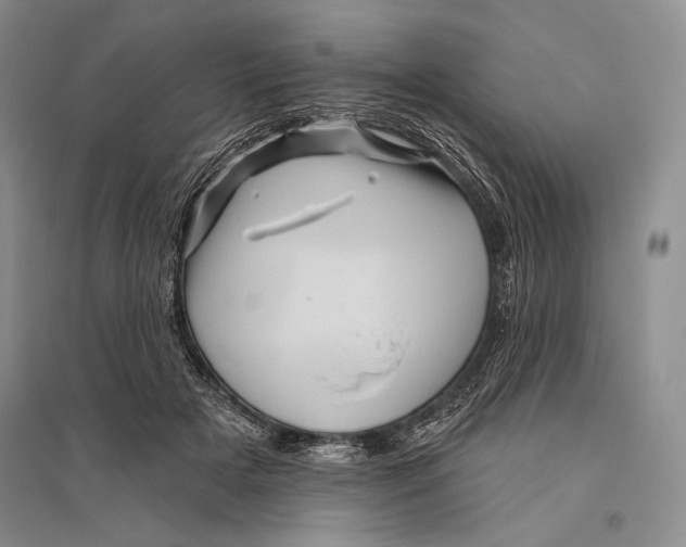 X0000096190505200802151506