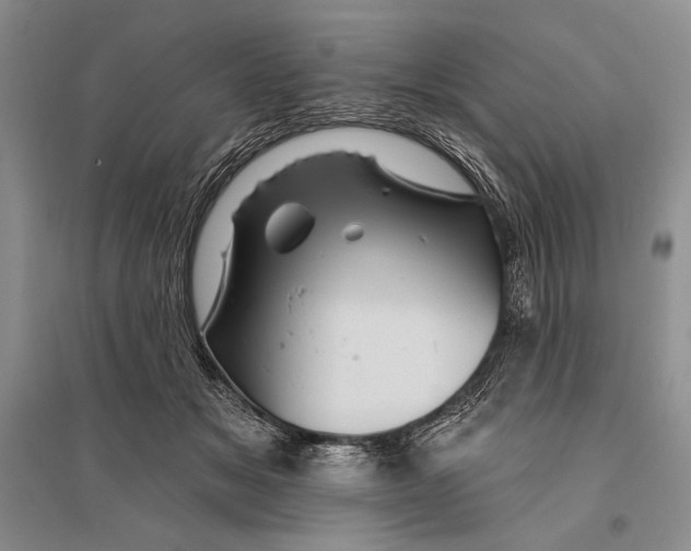 X0000096190509200802151506