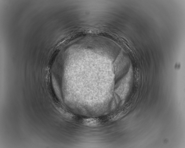 X0000096190511200802151506