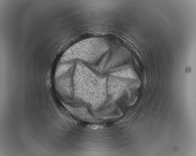 X0000096190512200802151506