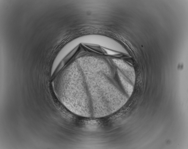 X0000096190513200802151506