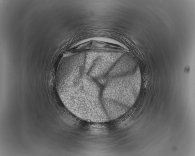 X0000096190515200802151506