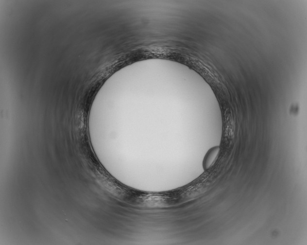 X0000096190518200802151506