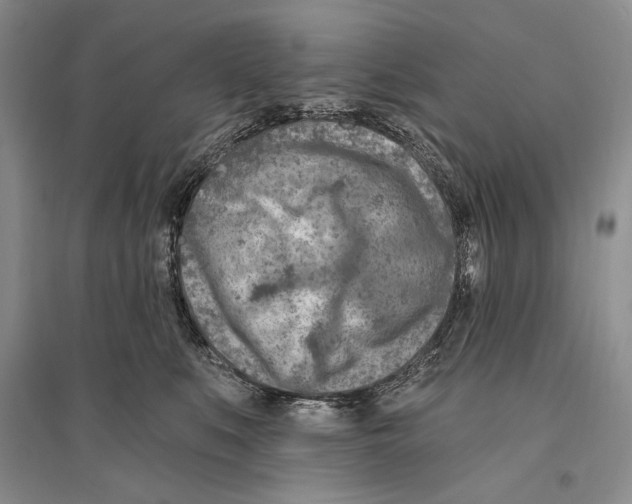 X0000096190519200802151506