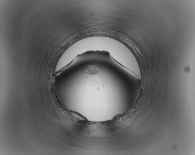 X0000096190521200802151506