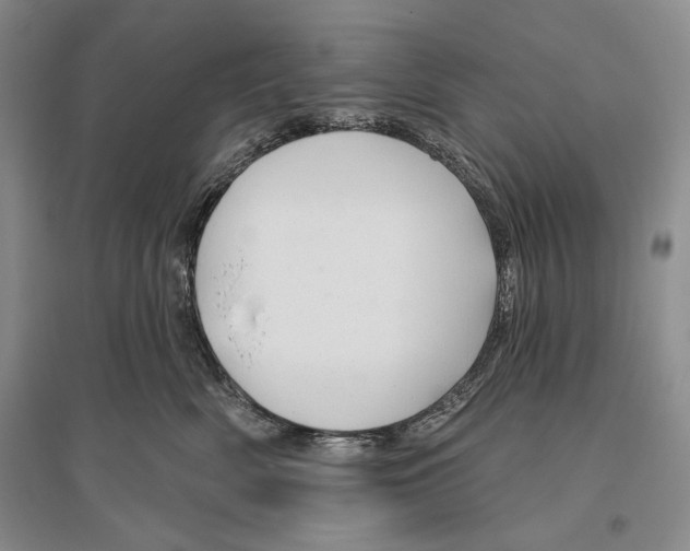 X0000096190522200802151506