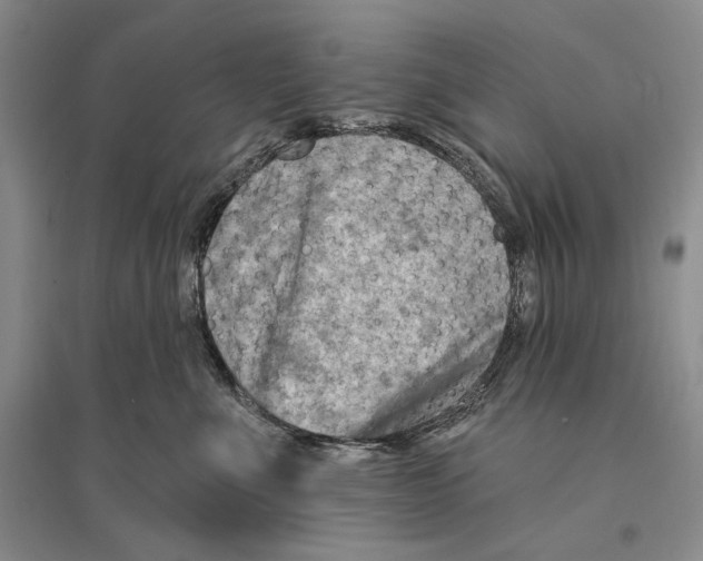 X0000096190523200802151506