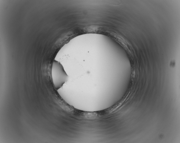 X0000096190525200802151506