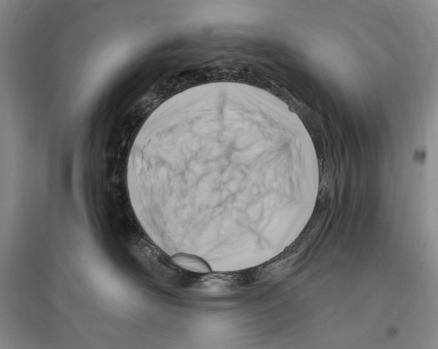 X0000096190526200802151506