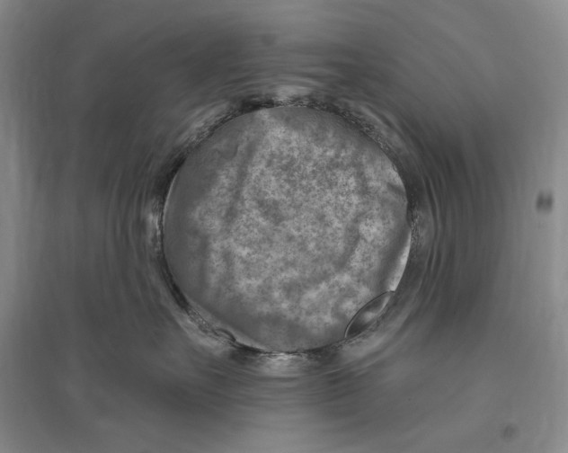 X0000096190527200802151506