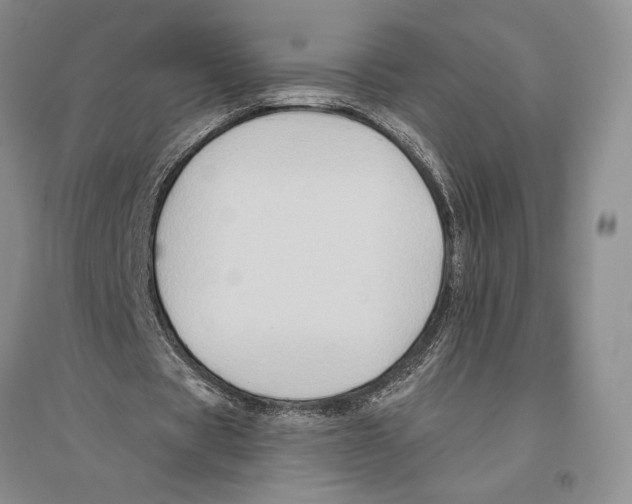 X0000096190529200802151505