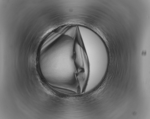 X0000096190530200802151505