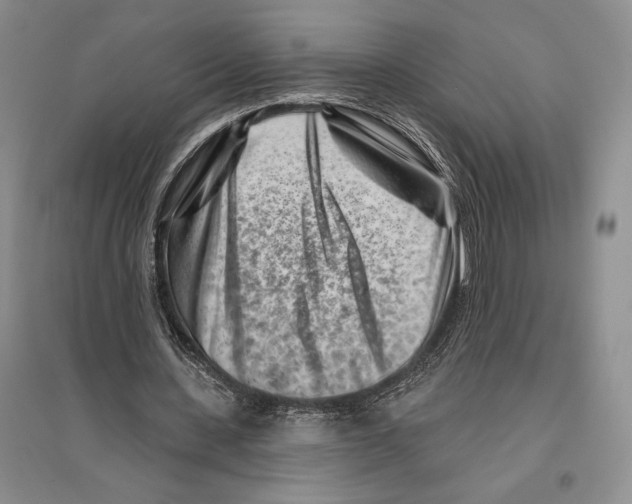 X0000096190531200802151505