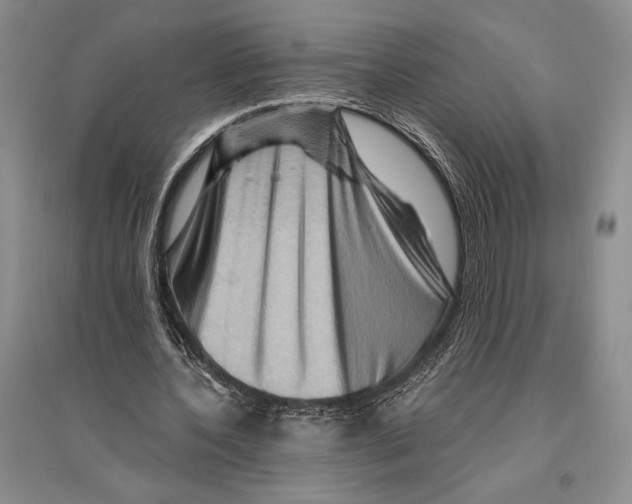 X0000096190532200802151505