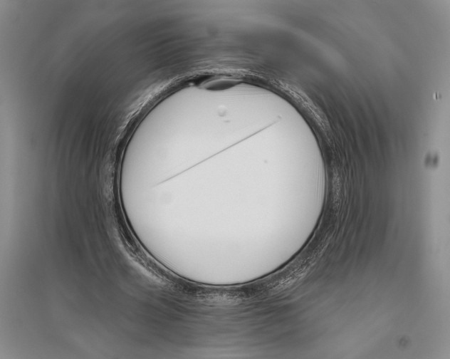 X0000096190533200802151505