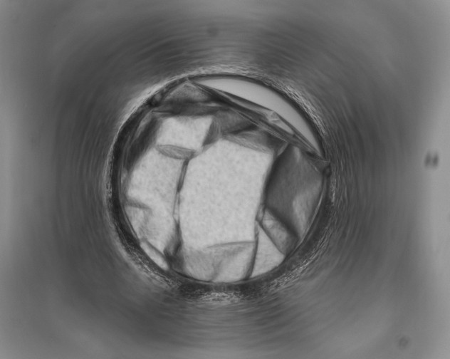 X0000096190536200802151505