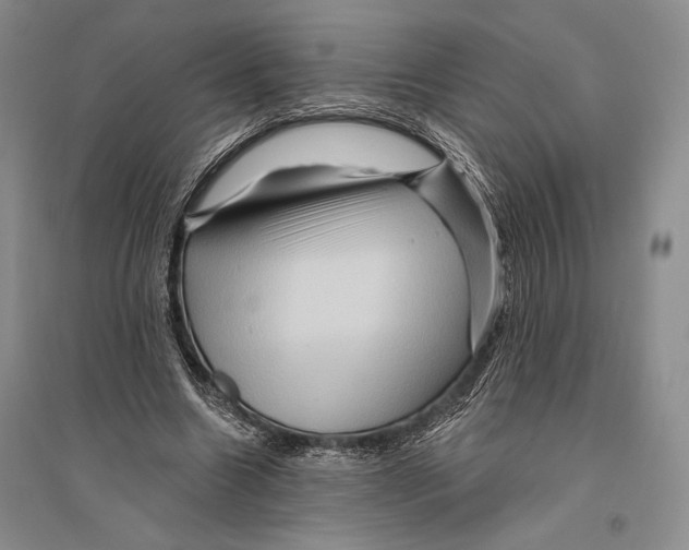 X0000096190538200802151505