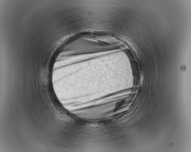 X0000096190540200802151505