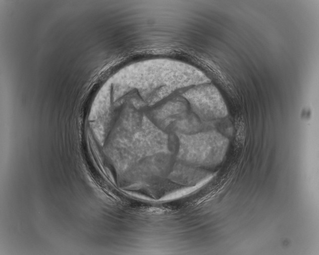 X0000096190542200802151505