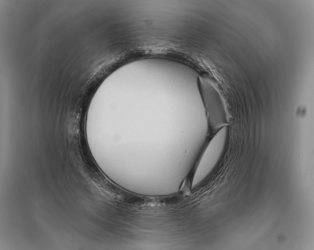 X0000096190543200802151505