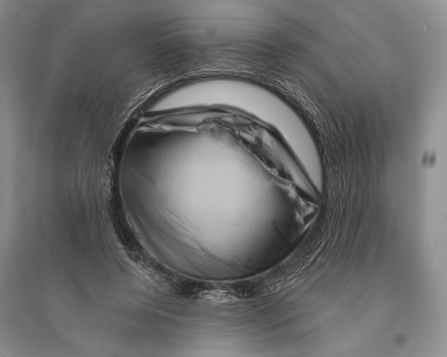 X0000096190544200802151505