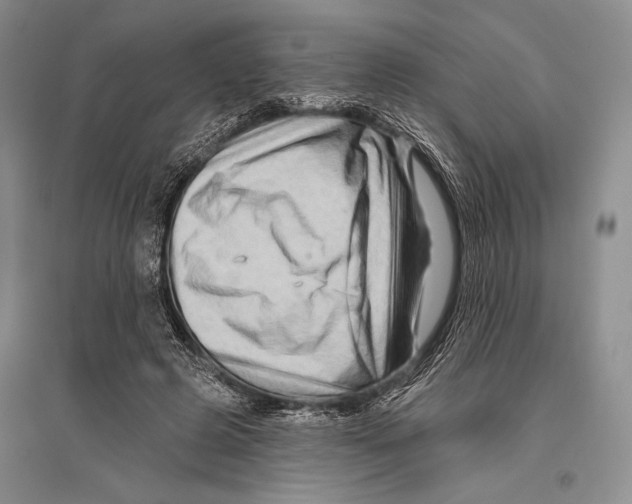 X0000096190545200802151505